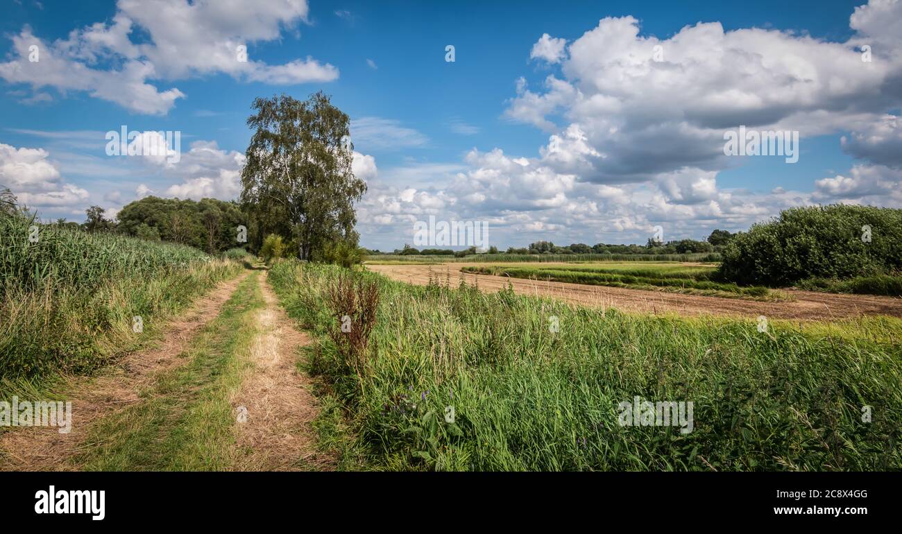 Panoramablick auf die belgische Landschaft mit Naturstraße durch das schöne Nete-Tal mit Naturschutz und Wanderweg durch Viersels Ge Stockfoto