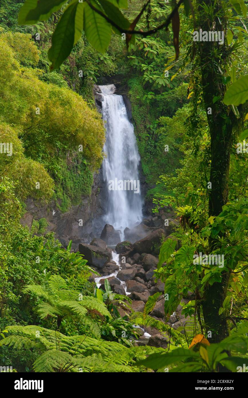 Trafalgar Falls Wasserfälle auf Dominica Island, Karibik Stockfoto