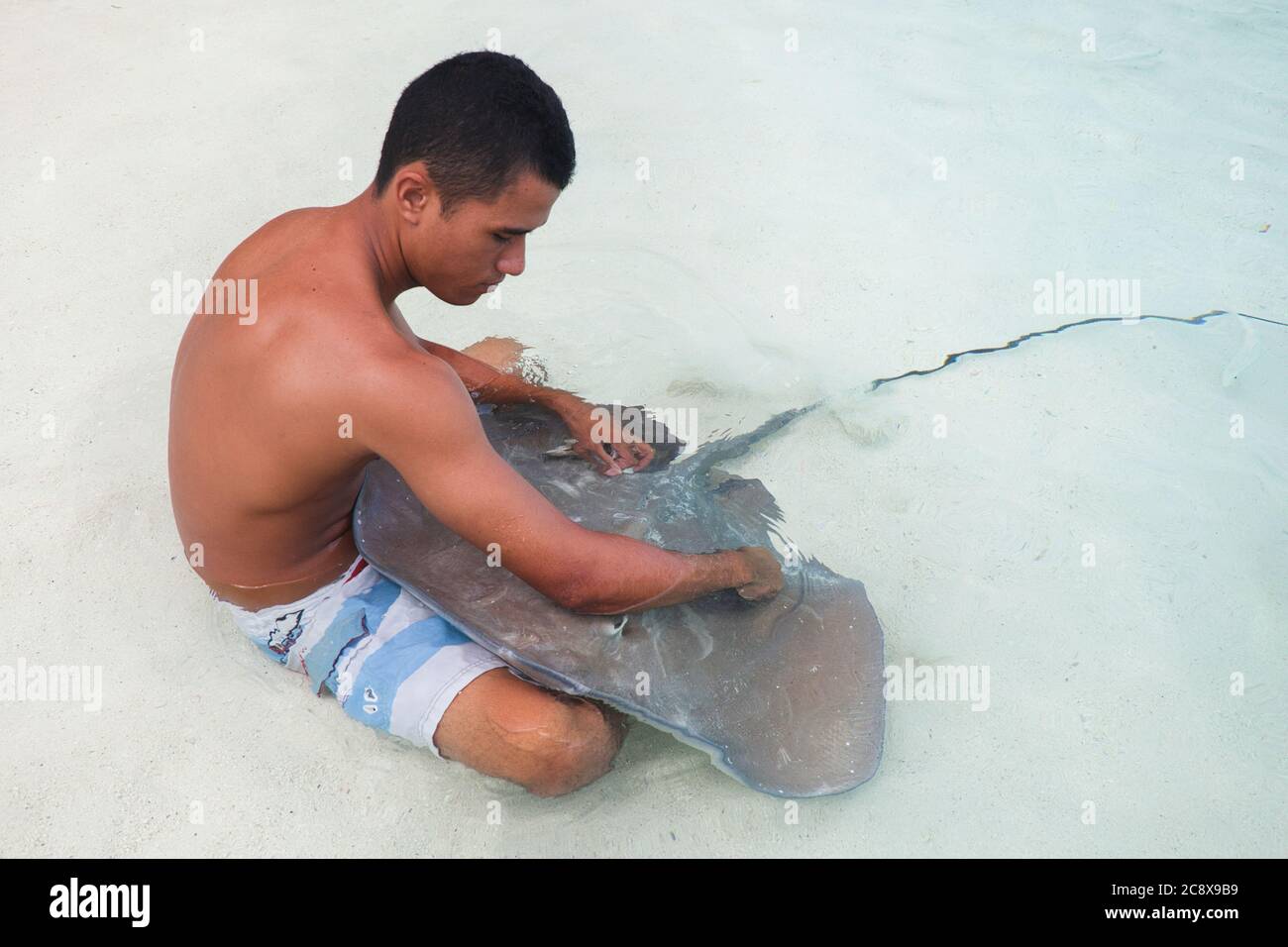 Bora Bora, Tahiti, Französisch-Polynesien. Lokaler Junge streichelt Haustier Stachelrochen sitzt auf Sand in seichtem Wasser. Stockfoto