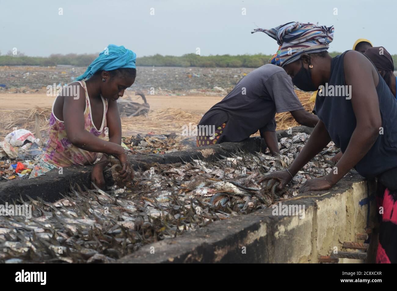 Frauen, die unter prekären Bedingungen in einer handwerklichen Fischverarbeitungsanlage in Joal, Senegal, arbeiten Stockfoto