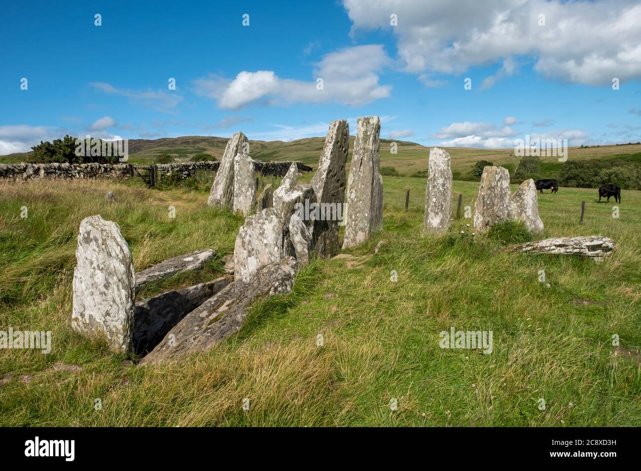 Cairn Holy 1 Standing Stones und Burial Chamber Site in der Nähe von Carsluith, Newton Stewart, Dumfries und Galloway, Schottland Stockfoto