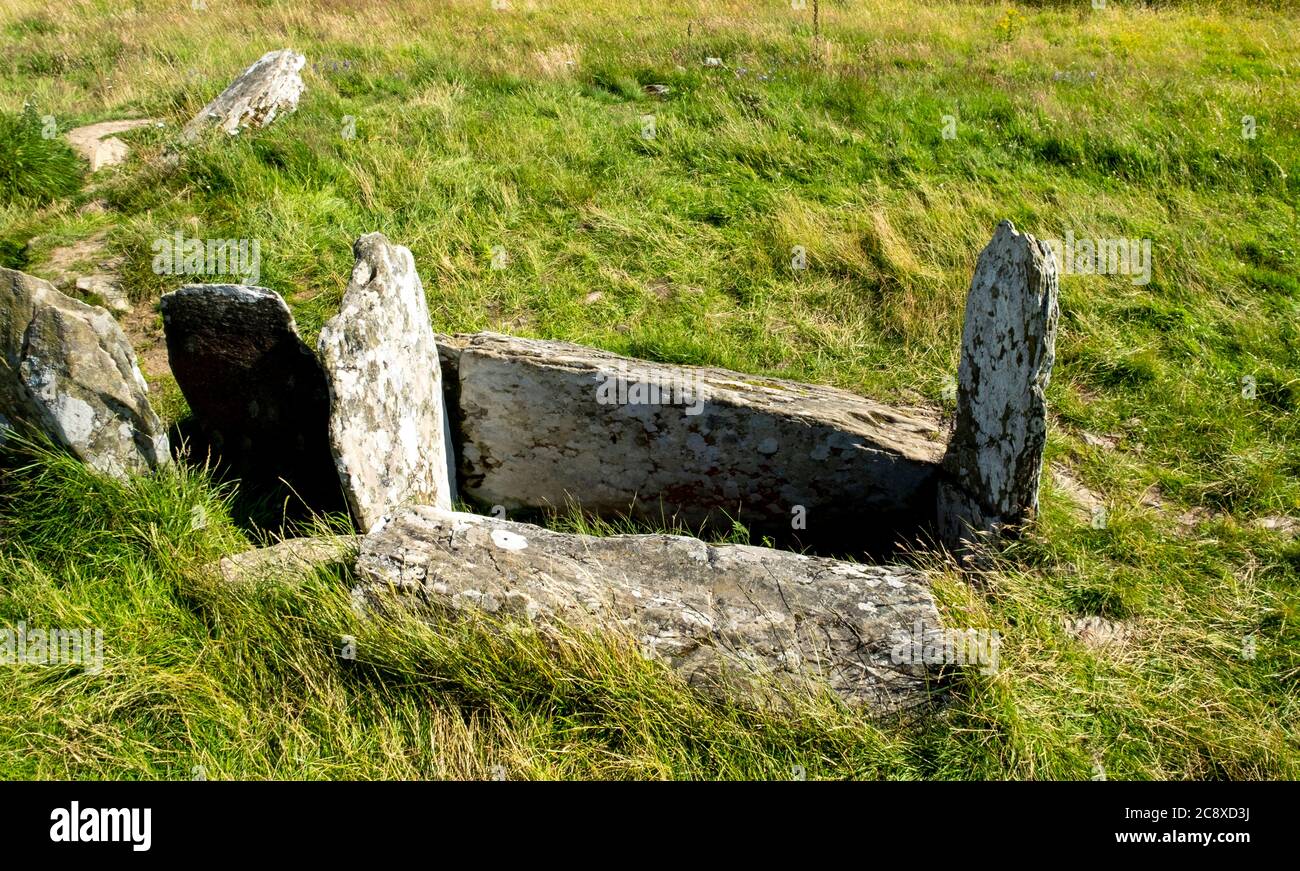 Cairn Holy 1 Standing Stones und Burial Chamber Site in der Nähe von Carsluith, Newton Stewart, Dumfries und Galloway, Schottland Stockfoto