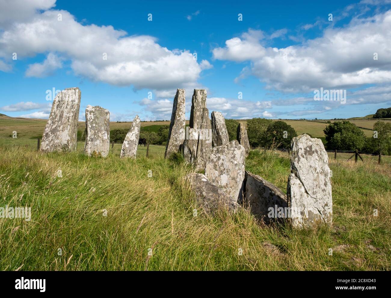 Cairn Holy 1 Standing Stones und Burial Chamber Site in der Nähe von Carsluith, Newton Stewart, Dumfries und Galloway, Schottland Stockfoto