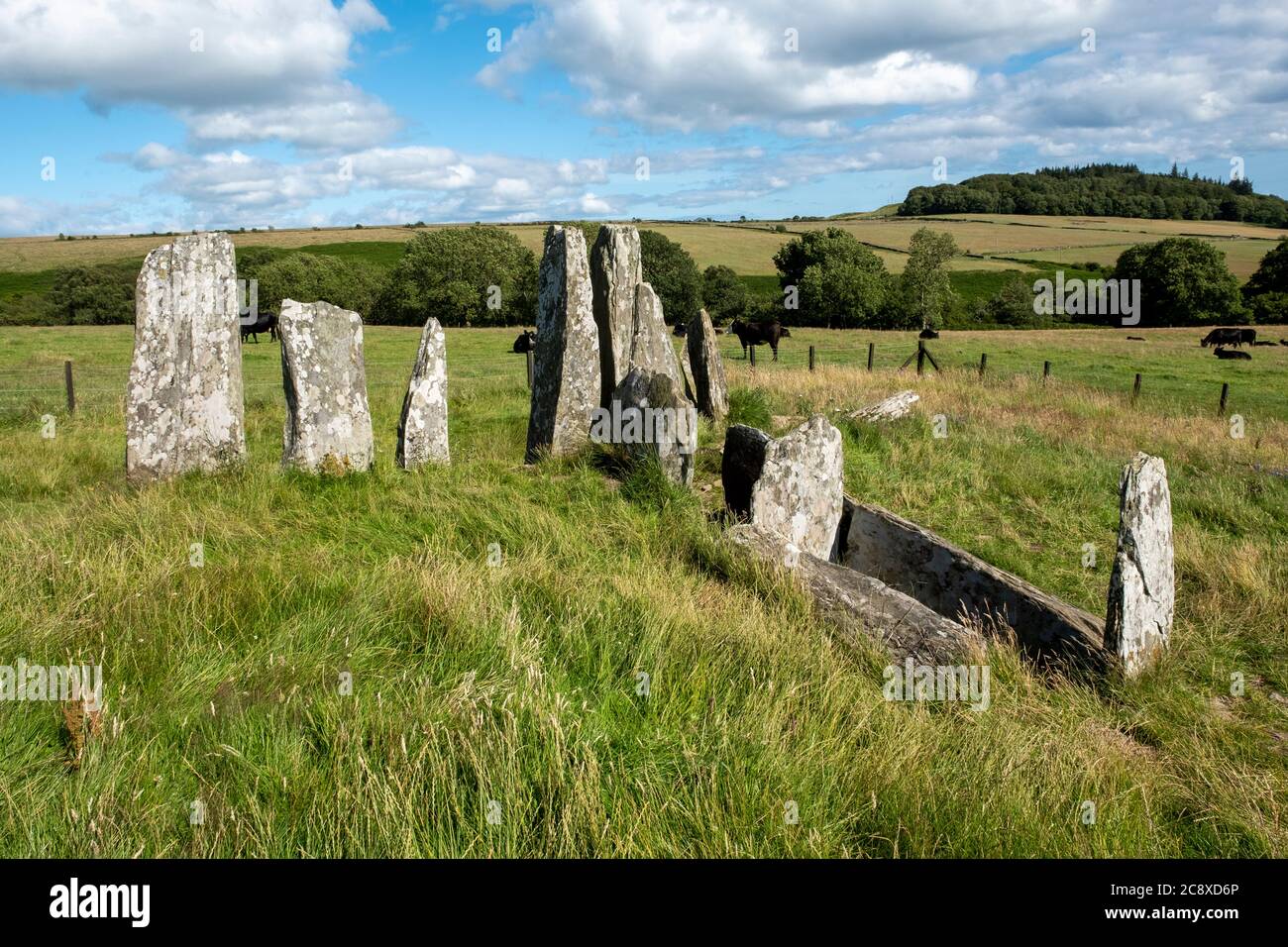 Cairn Holy 1 Standing Stones und Burial Chamber Site in der Nähe von Carsluith, Newton Stewart, Dumfries und Galloway, Schottland. Stockfoto