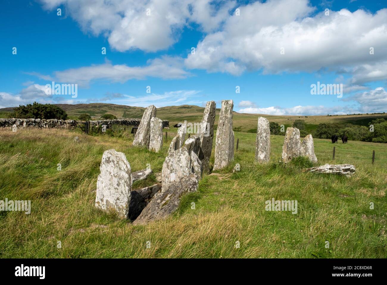 Cairn Holy 1 Standing Stones und Burial Chamber Site in der Nähe von Carsluith, Newton Stewart, Dumfries und Galloway, Schottland. Stockfoto