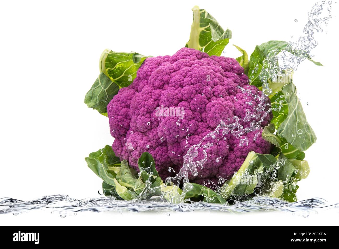 Frischen Rotkohl in reinem Wasser fallen Stockfoto