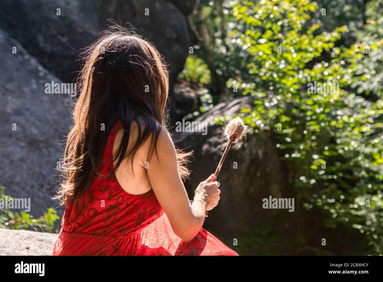 Blick von hinten auf eine junge Frau in einem ärmellosen roten Kleid, die auf einem Felsen in einer Lichtung im Wald sitzt und einen Trommelklatschen in der Hand hält. Stockfoto