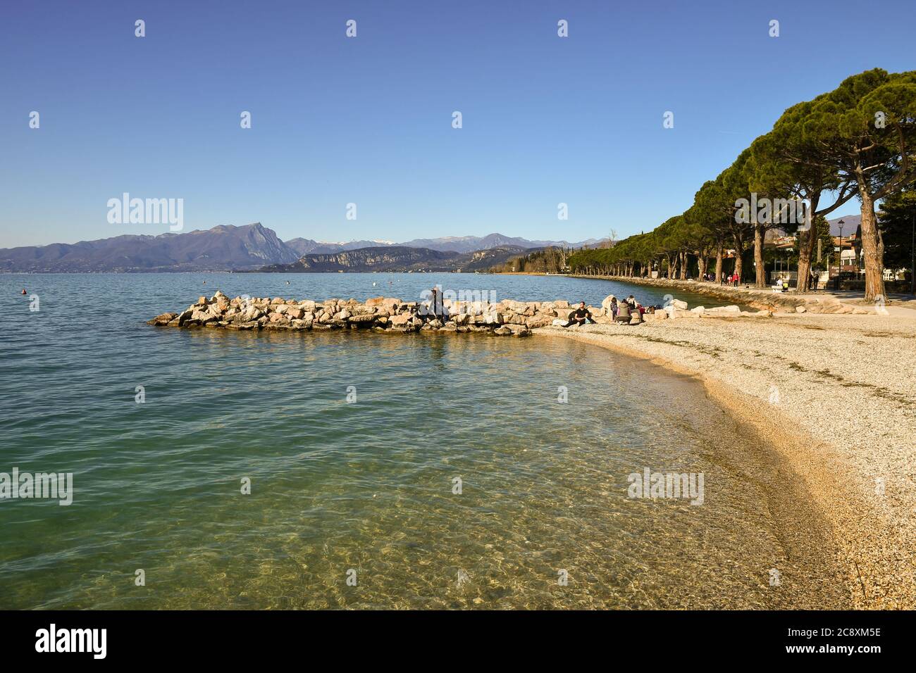 Blick auf das Seeufer mit Menschen auf den Felsen sitzen und die Seepromenade mit einer Reihe von Kiefern und klaren blauen Himmel, Gardasee, Lazise, Italien Stockfoto