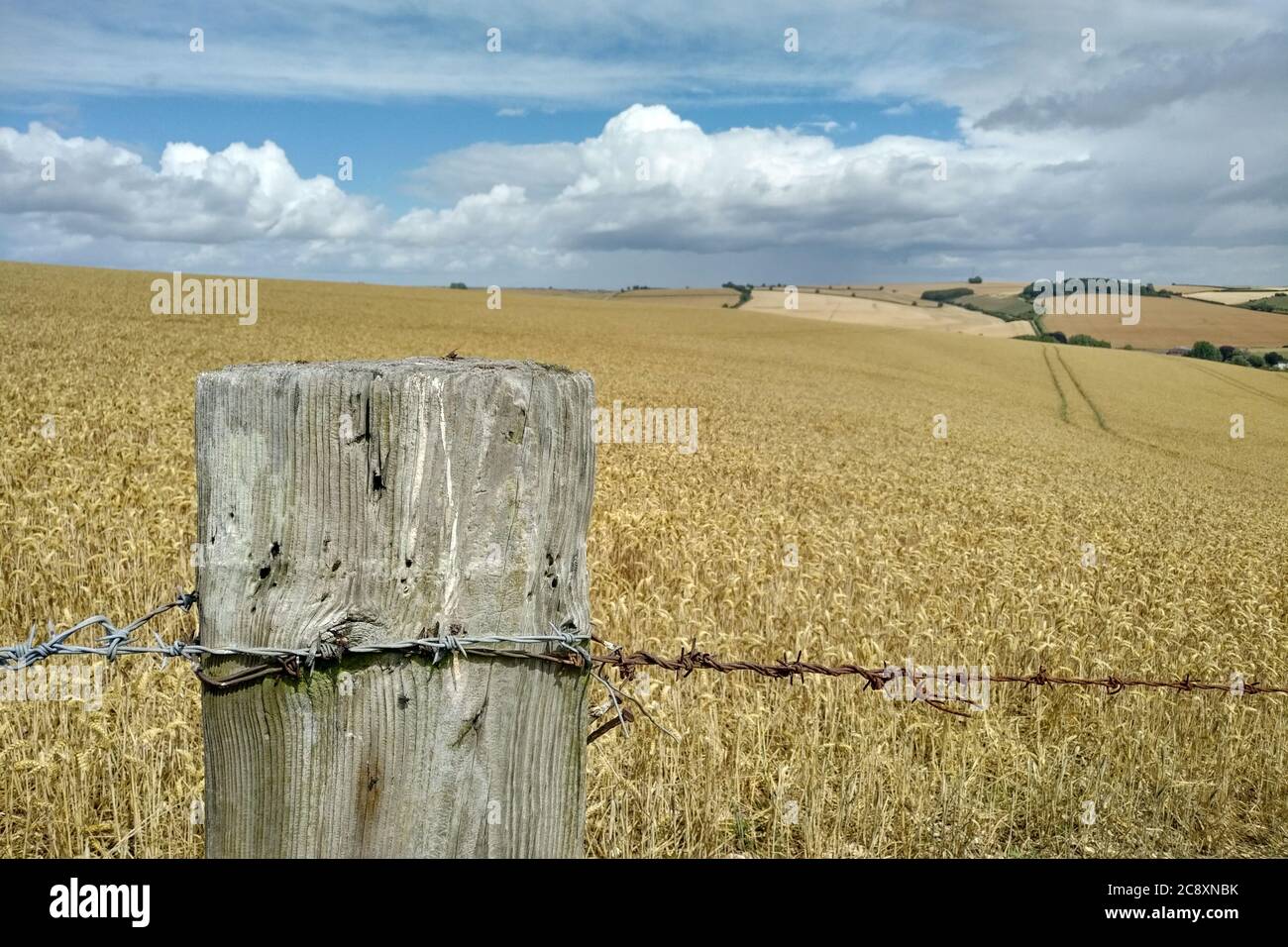 Hügelige Landschaft im Wylye Valley in der Nähe von Wilton, Salisbury. VEREINIGTES KÖNIGREICH. 2020 Stockfoto