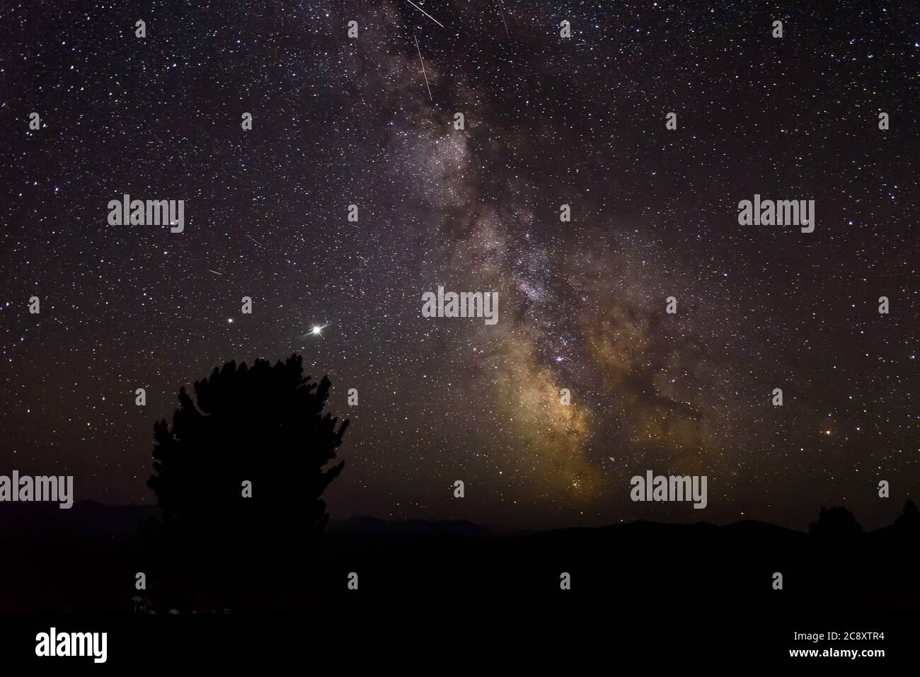 Nachtpanorama des Sternenhimmels mit der Milchstraßengalaxie, Sternen, Nebel und Zeder im Vordergrund in den Bergen Stockfoto