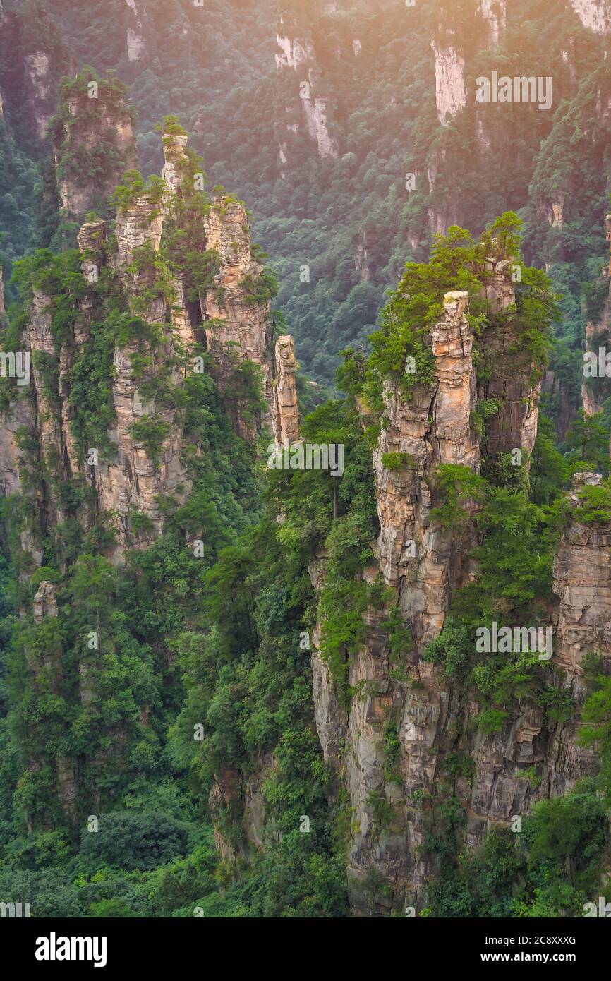 Atemberaubende Felspfeiler der Tianzi-Bergkette, Avatar Mountains Naturpark, Zhangjiajie, China Stockfoto