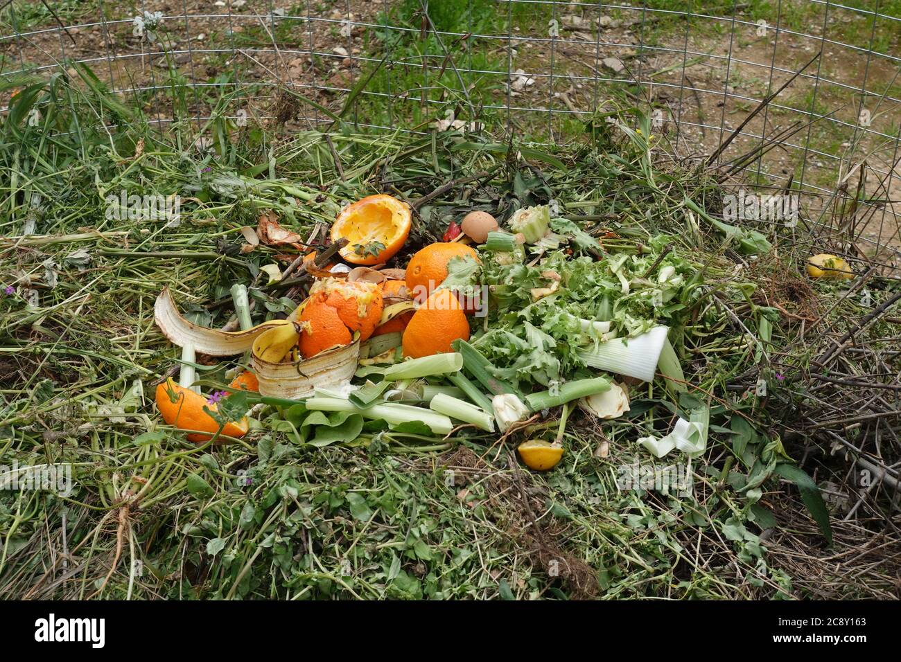 Gartenunkräuter verfaulten Gemüse und Essensreste im Komposthaufen. Grüner organischer Abfall. Stockfoto