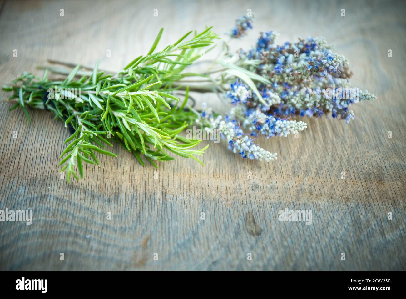 Schöner griechischer wilder Lavendel und Rosmarin auf natürlichem ...