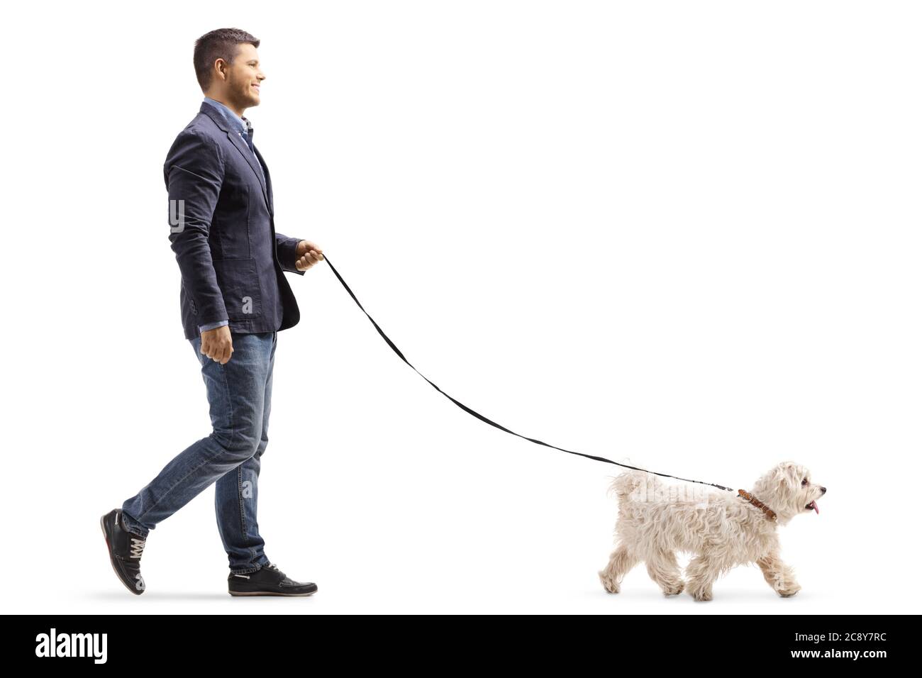 In voller Länge Profilaufnahme eines Mannes zu Fuß ein maltesischer Pudel Haustier Hund isoliert auf weißem Hintergrund Stockfoto