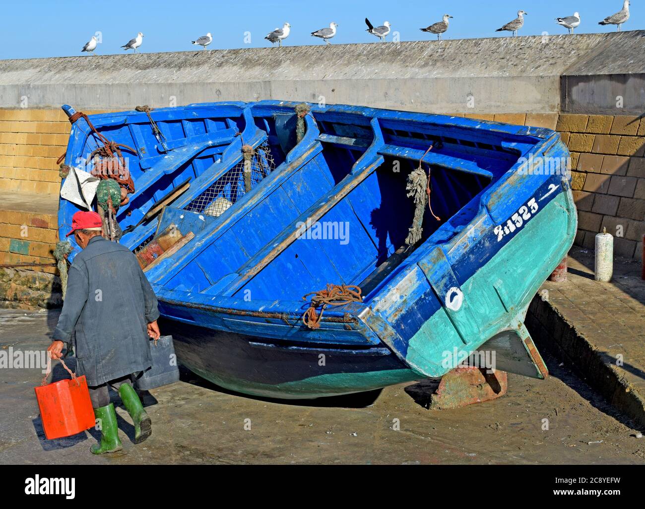 Blaues Fischerboot im Hafen von Essaouira in Marokko, Nordafrika. Der ältere Mann ist auf dem Weg zum Fischmarkt. Es ist 7 Uhr. Möwen beobachten Stockfoto