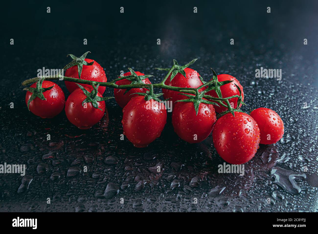 Studio Schuss von reifen Zweig der Kirschtomaten von Wassertropfen isoliert auf schwarzem Hintergrund bedeckt Stockfoto
