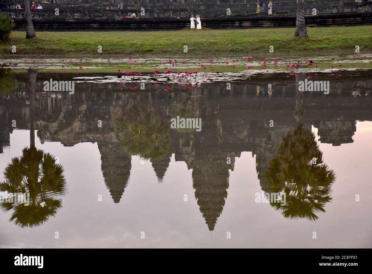 Reflexion im See von Angkor Wat bei Sonnenaufgang mit Seerosen Stockfoto