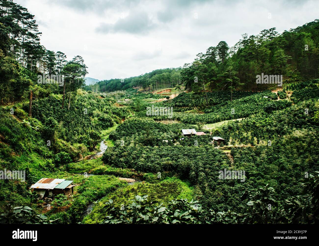 Lang Bian Mountain, Vietnam, Südostasien Stockfoto