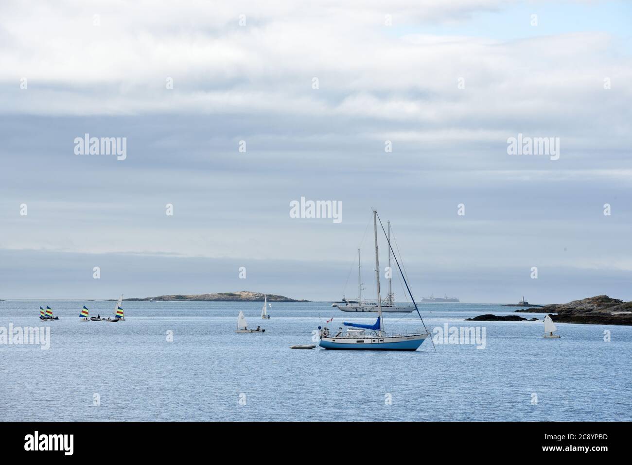 Segelboote verschiedener Größen segeln durch oder sitzen vor Anker in den Gewässern der Cadboro Bay entlang der Küste des südlichen Vancouver Island, British Columbia, Stockfoto