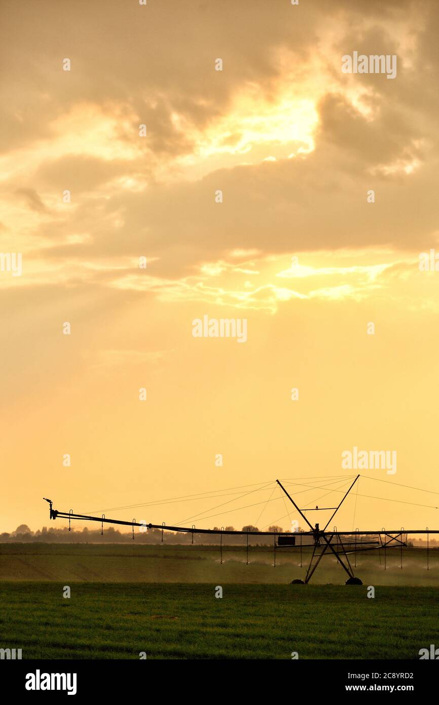 Nahaufnahme der Silhouette eines Hightech-Regners, der landwirtschaftliche Nutzpflanzen bewässert. Stockfoto