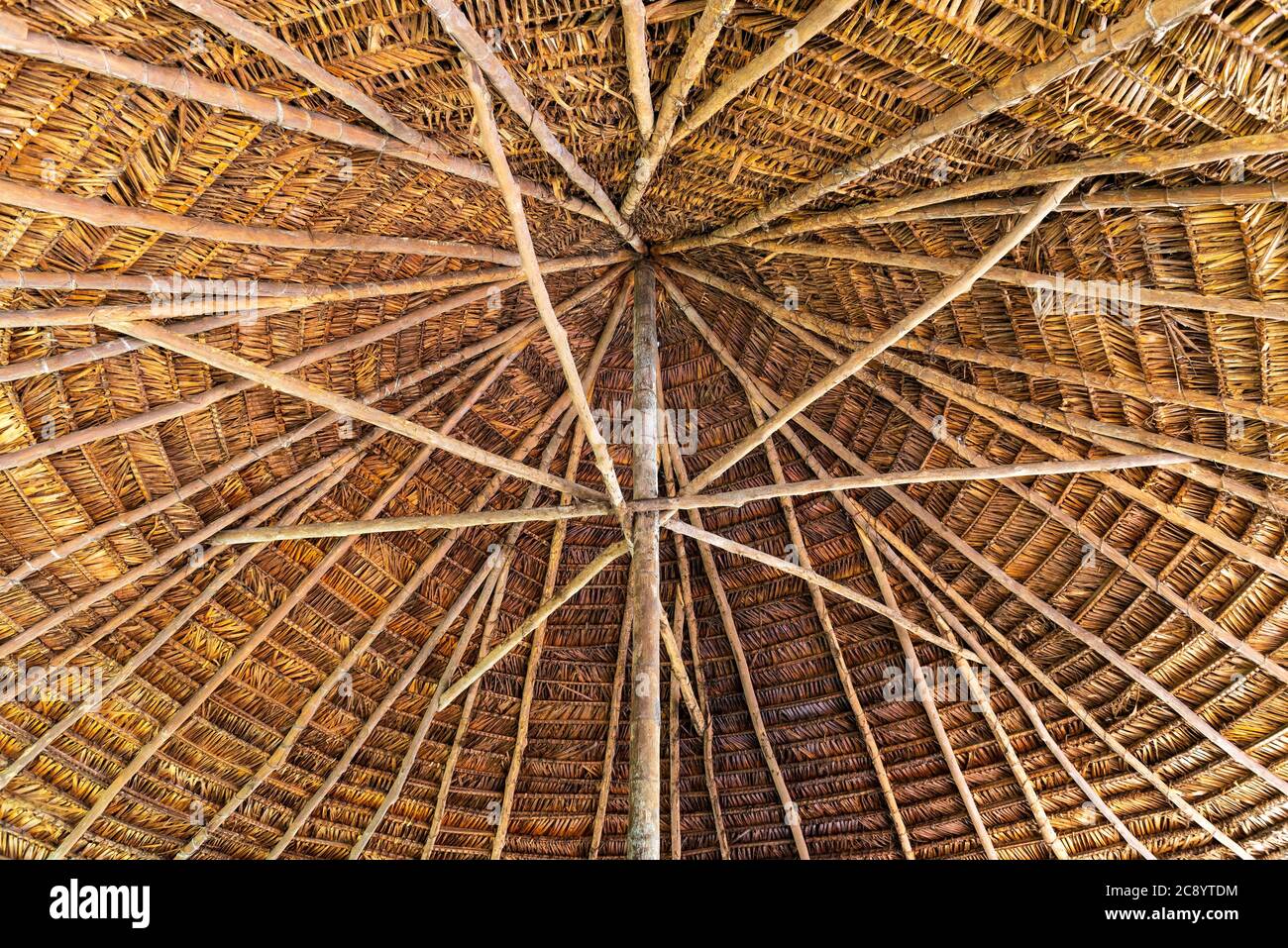 Traditionelle Dachkonstruktion in einer Hütte des Amazonas-Regenwaldes, Ecuador. Stockfoto
