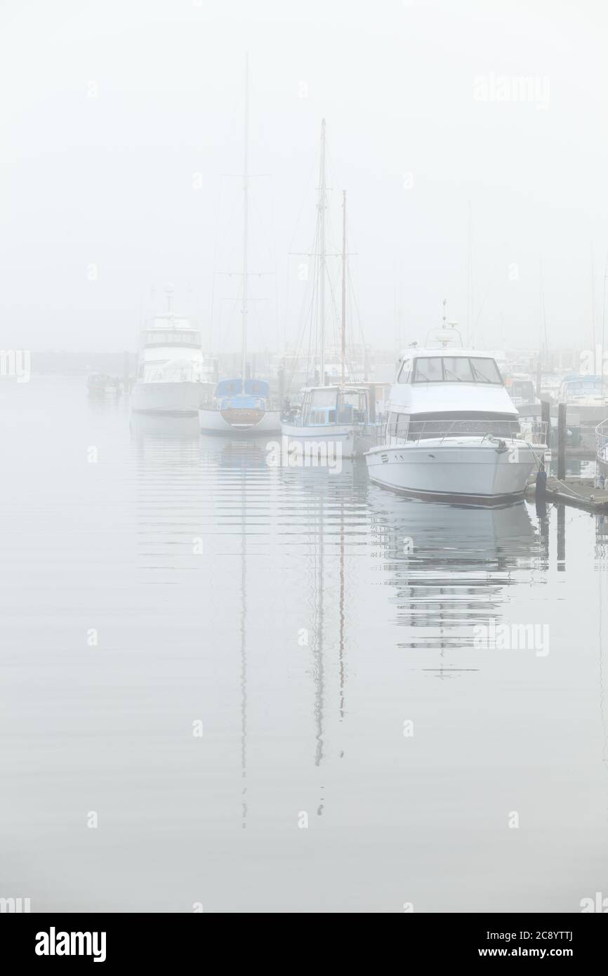 Ein nebliger Blick auf den Hafen von Newport am Yaquina Fluss in Oregon. Es gibt viele kommerzielle und private Fischerboote in der Backgrou morred Stockfoto