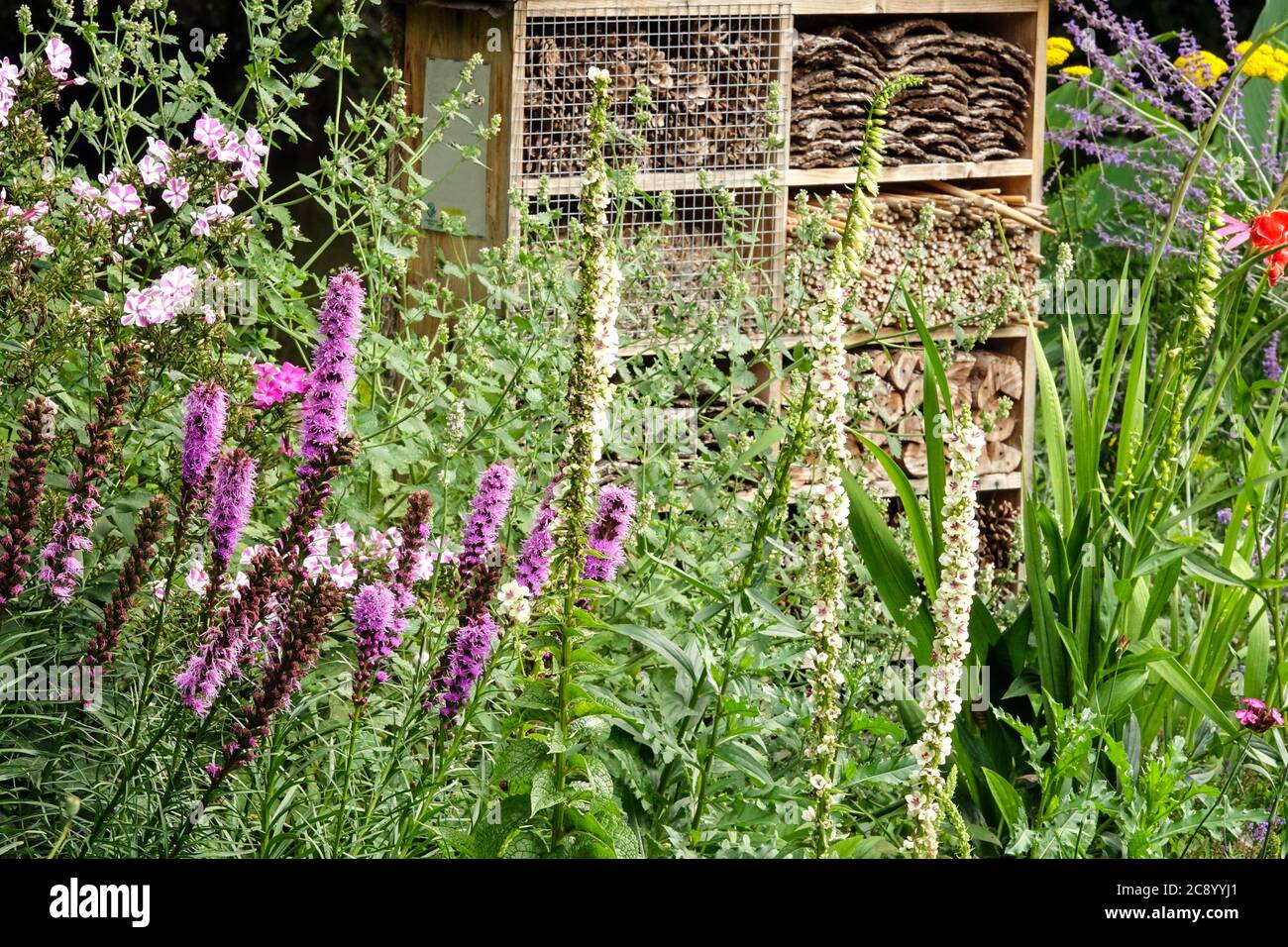 Insektenschutz bewachsener Garten Insektenhotel fördert die Tierwelt im Garten Stockfoto