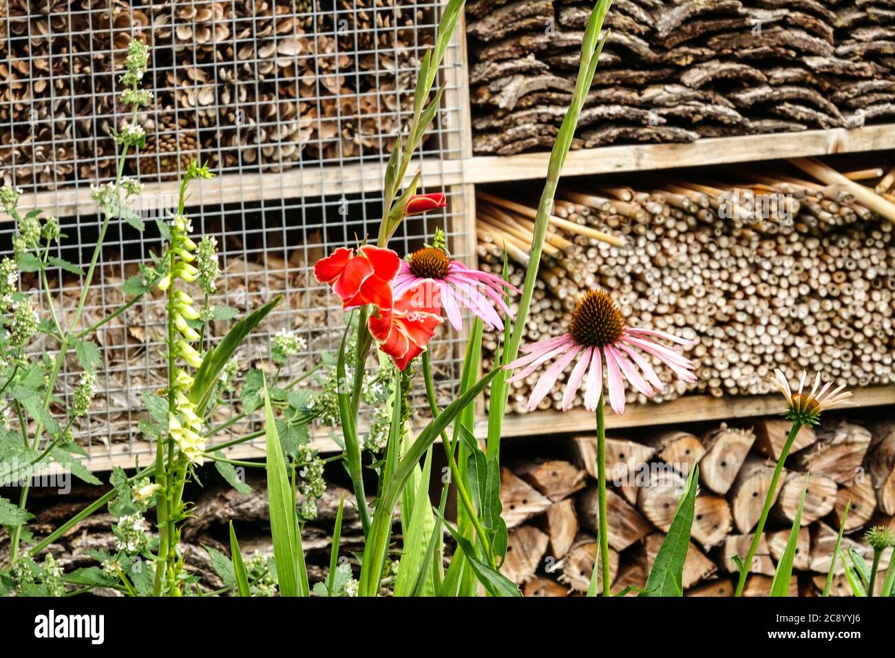 Insektenhotel im Garten für freundliche Wildtiere Insekten, einsame Bienen, Bienenhotel umweltfreundlicher Garten Stockfoto