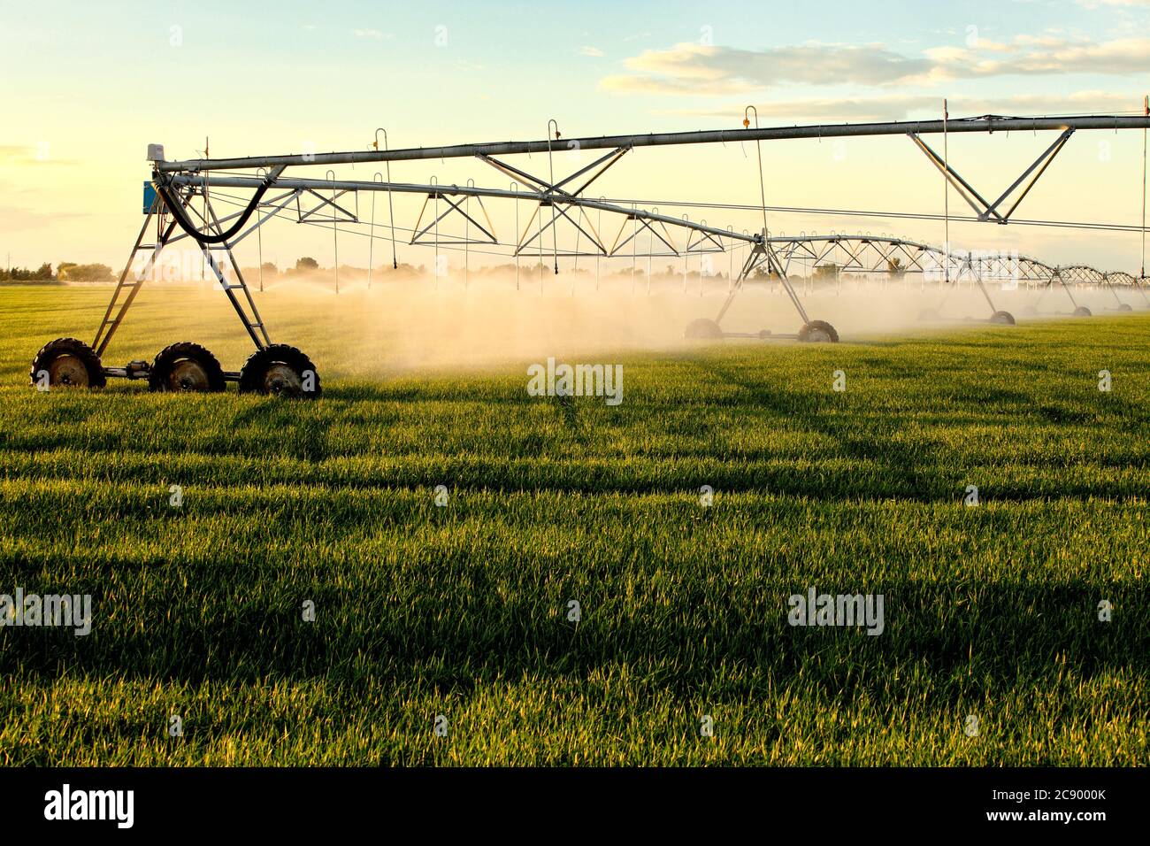 Ein Center Pivot Sprinkler für eine neue Saison Gießen eines Weizenfeldes vorbereitet. Stockfoto