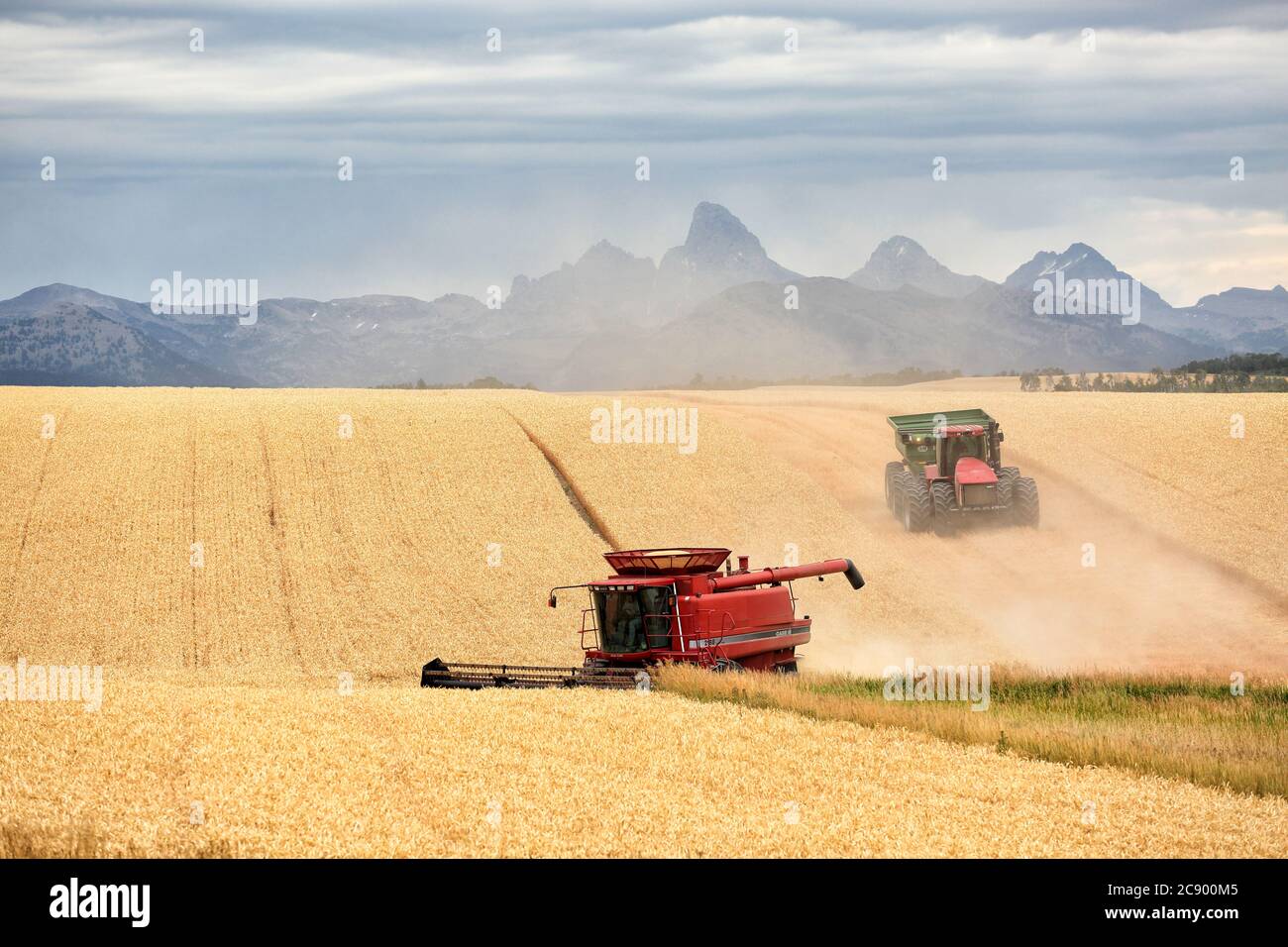 Ein Getreidekombinat funktioniert bei der Weizenernte auf den fruchtbaren Feldern von Idaho, vor dem Teton-Gebirge. Stockfoto