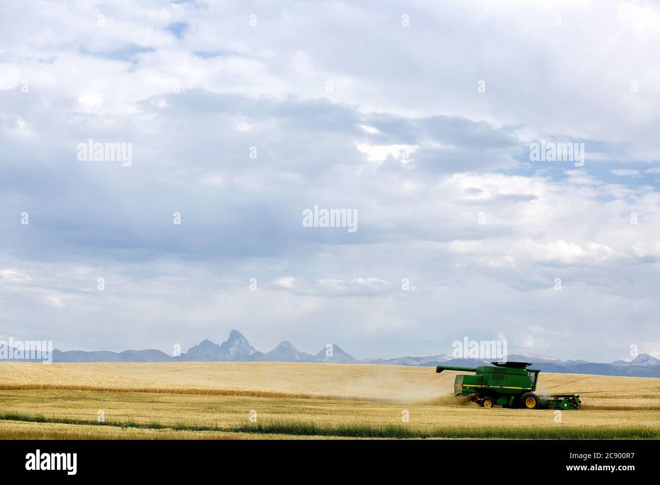 Ein Getreidekombinat funktioniert bei der Weizenernte auf den fruchtbaren Feldern von Idaho, vor dem Teton-Gebirge. Stockfoto