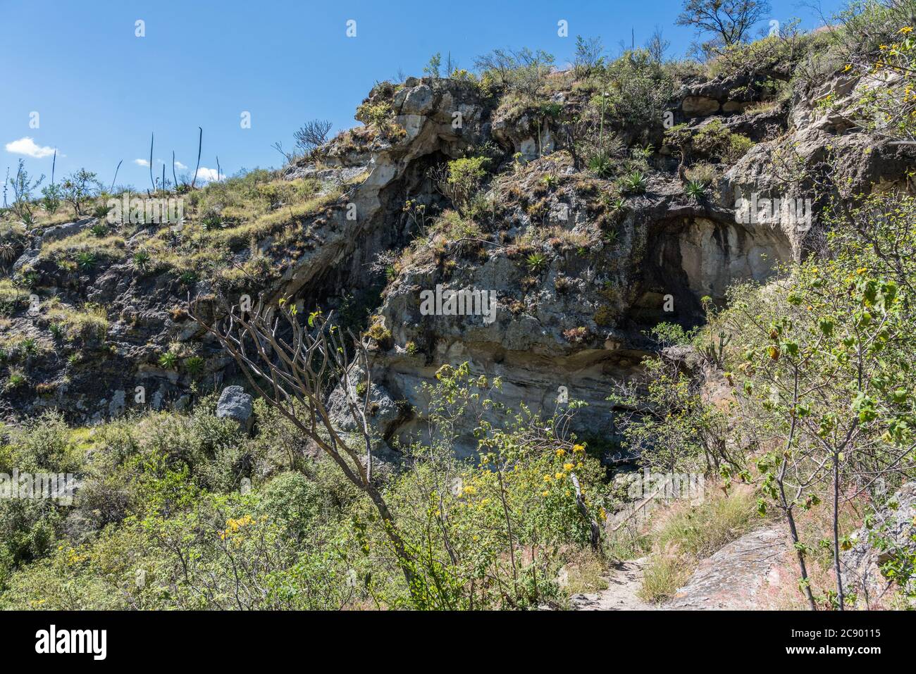 Die Vegetation umfasst den Eingang zu einer der Mitla-Höhlen im UNESCO-Weltkulturerbe der prähistorischen Höhlen von Yagul und Mitla im Zentrum Stockfoto
