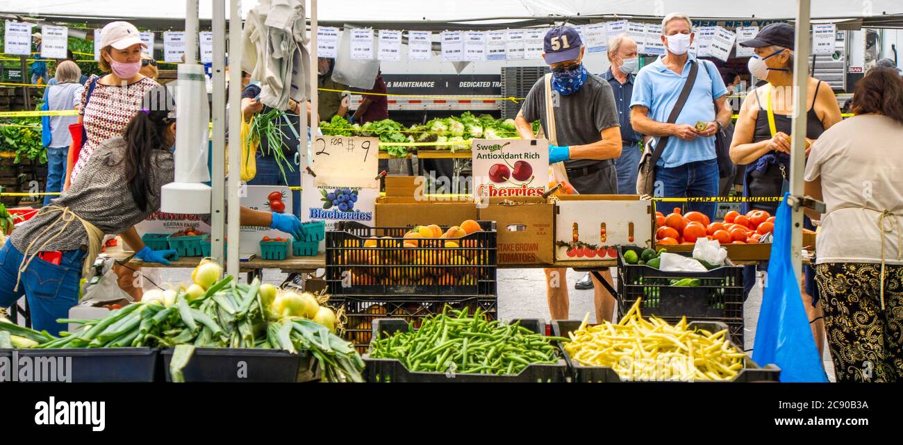 Bauernmarkt, Union Square, New York City, New York, USA Stockfoto