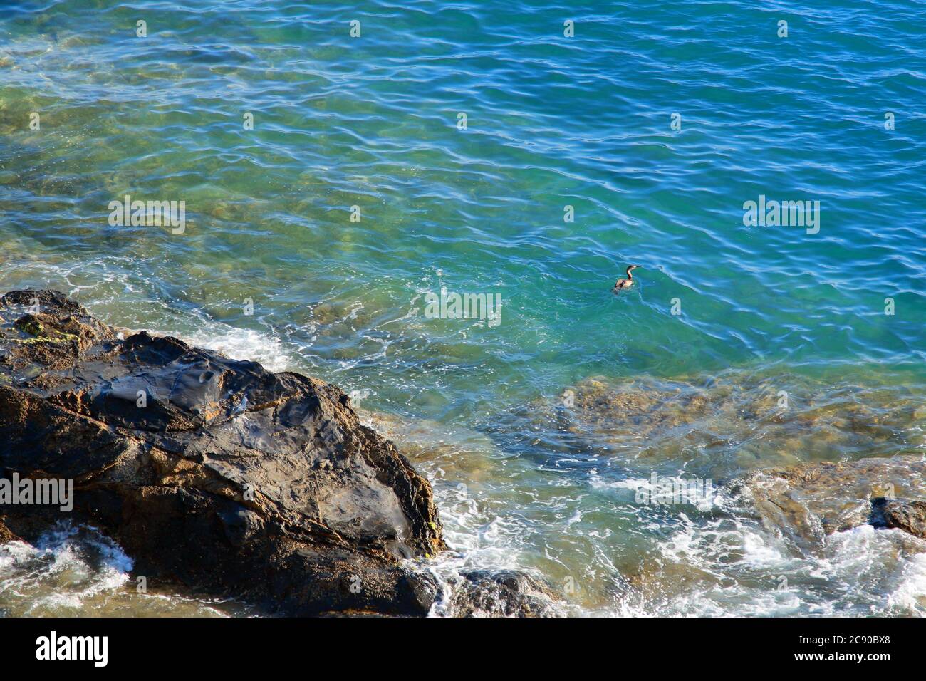 Ein Kormoran Angeln im kristallklaren Wasser in der Nähe einer Klippe Stockfoto