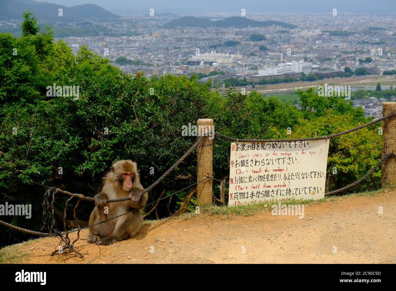 Kyoto Japan - Mt Arashiyama Monkey Park Iwatayama Aussichtsplattform Stockfoto