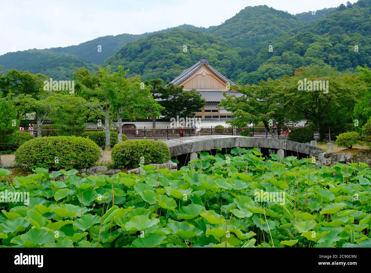 Kyoto Japan - Mt Arashiyama Monkey Park Iwatayama See mit Seerosen Stockfoto