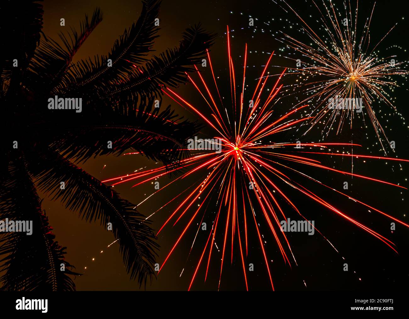 Palmen und Feuerwerk Stockfoto