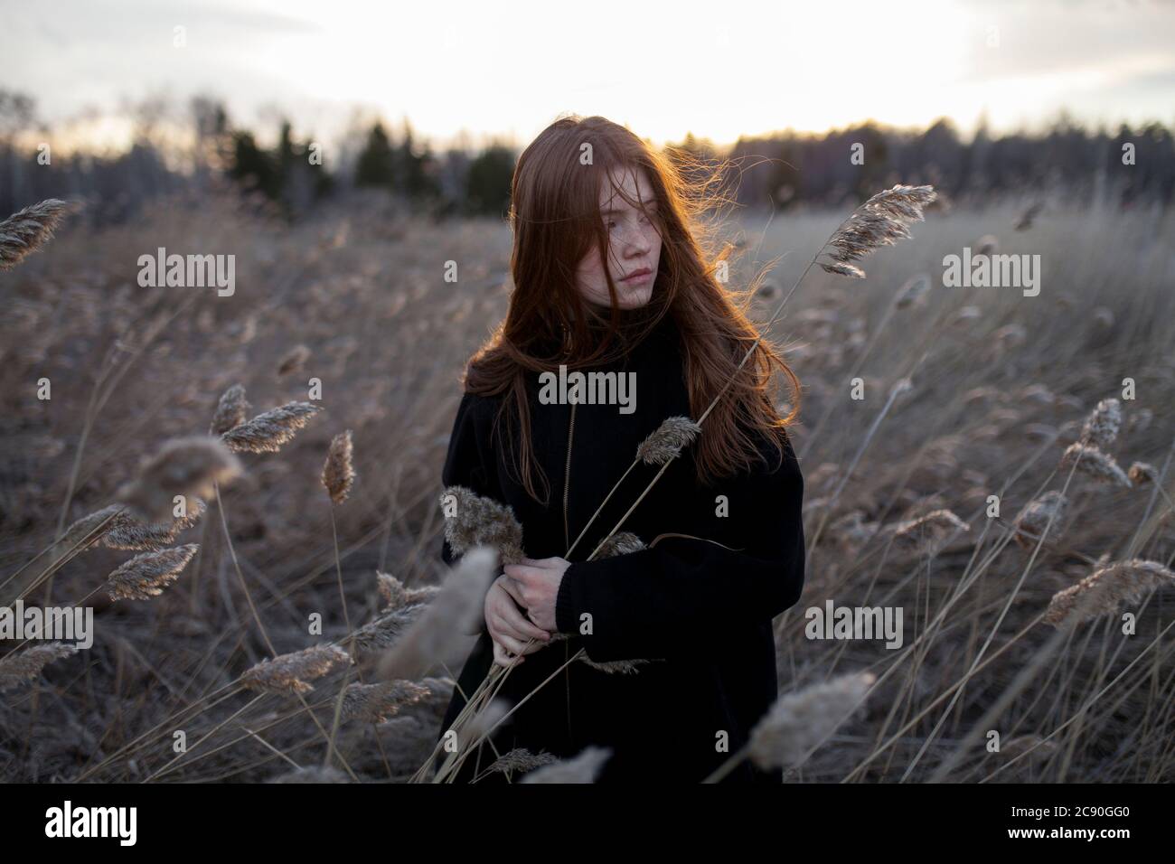 Russland, Omsk, Porträt von Teenager (16-17) Mädchen in hohem Gras Stockfoto
