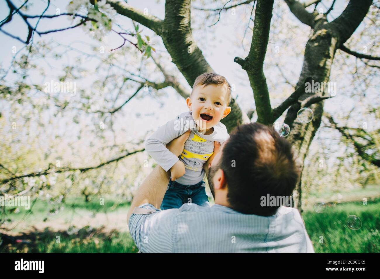 Vater mit Sohn (2-3) im Obstgarten Stockfoto