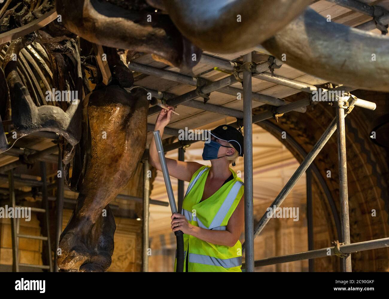 London, Großbritannien. Juli 2020. Ein Mitarbeiter poliert die amerikanische Mastodon-Ausstellung im Hintze Hall of Natural History Museum vor ihrer Wiedereröffnung in London, Großbritannien, am 27. Juli 2020. Das Naturhistorische Museum wird ab 5. August wieder eröffnet. Quelle: Han Yan/Xinhua/Alamy Live News Stockfoto