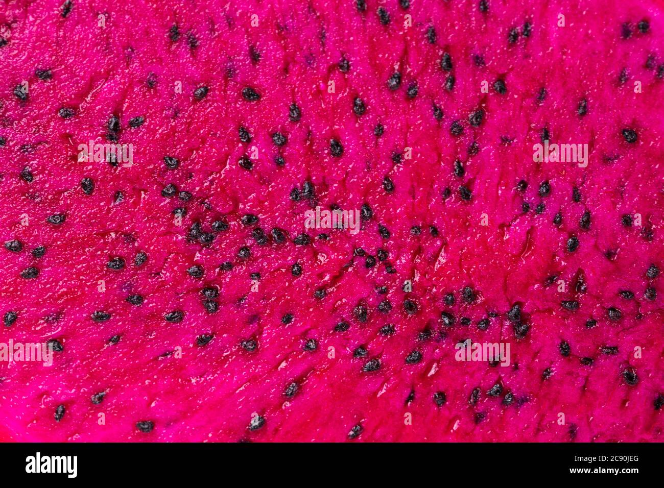 Frische Drachenfrucht - Pitaya-Frucht Stockfoto