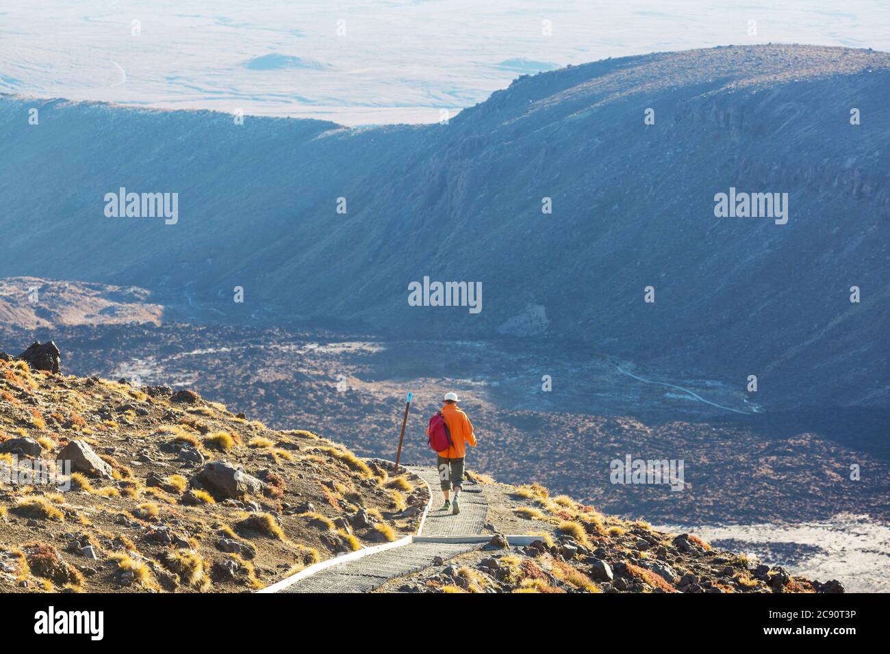 Mann zu Fuß auf Wanderweg Route mit Neuseeland Vulkan, Tramping, Wandern, Reisen in Neuseeland. Stockfoto