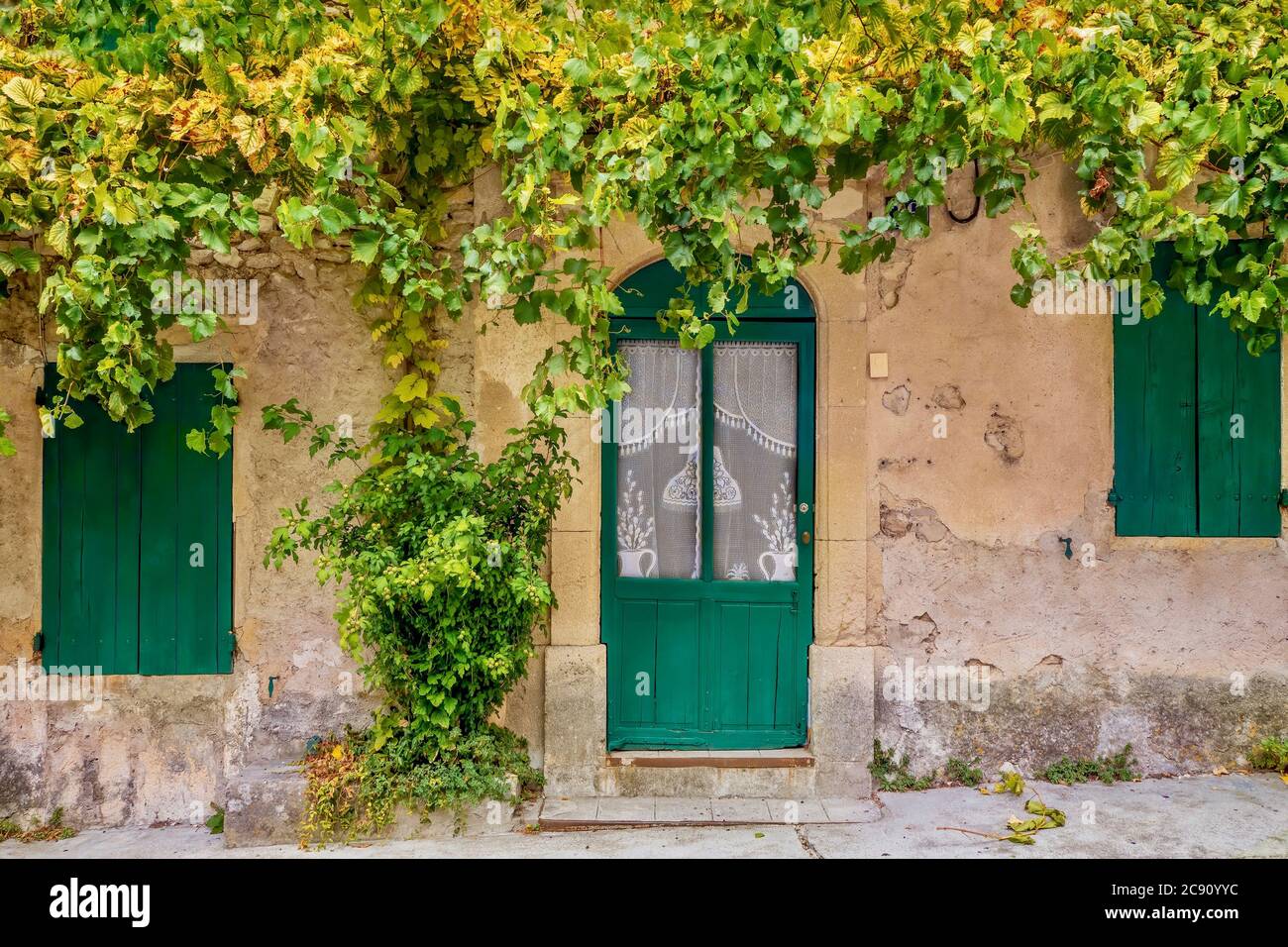 Blick auf die Straße eines einfachen, altmodischen französischen Dorfhauses in der Provence, mit Holztüren und Fensterläden, Spitzenvorhängen in den Fenstern und Weinreben Stockfoto