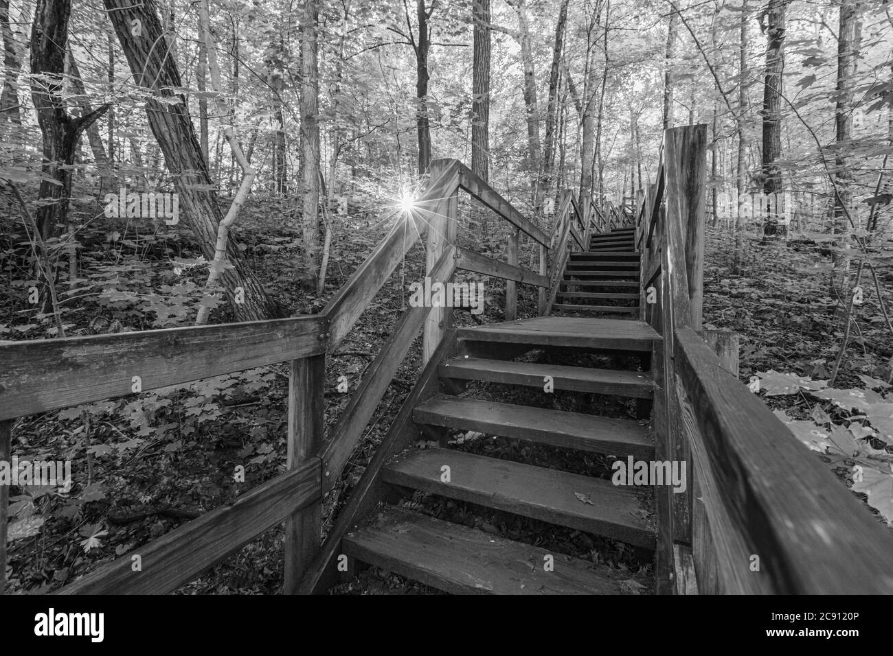 Matthiessen State Park Stockfoto