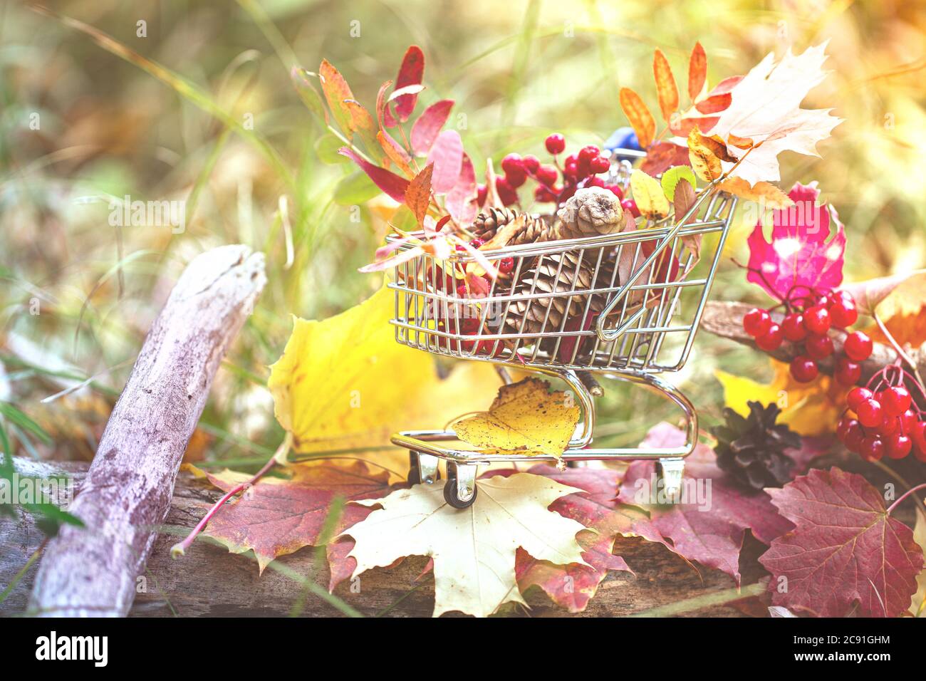 Halloween und Thanksgiving-Konzept, Herbstverkauf. Herbstsaison. Ahornblätter, Beeren im Supermarkt Trolley. Bildstil Herbstsaison. Stockfoto