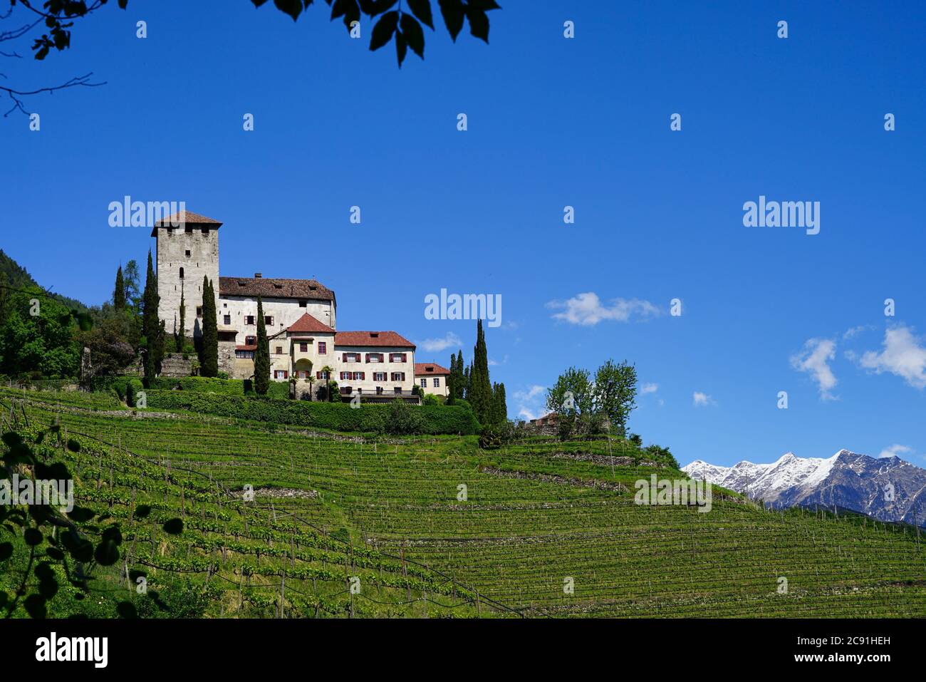 Weingut und Weinhof in Südtirol Stockfoto