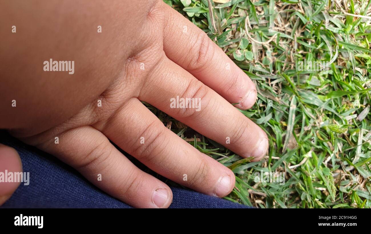 Kinder spielen mit Teddybär in einem Park. Körperteile von Kids scheint mit Spielzeug zu spielen. Kinder drücken oft Emotionen und Gedanken aus, während sie mit Witz spielen Stockfoto