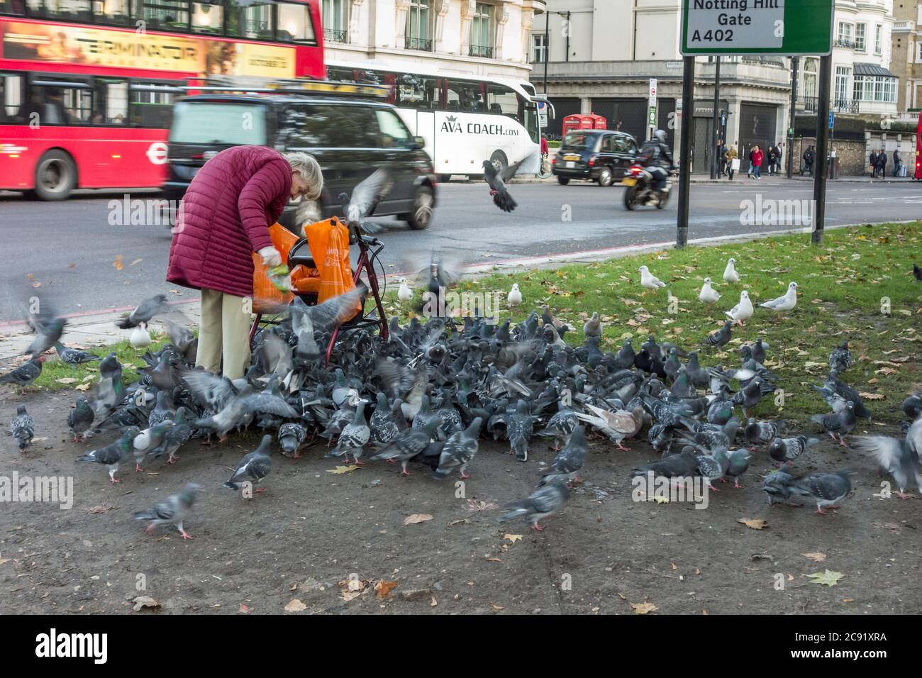 Alte Dame, die Tauben in der Straße von London füttert Stockfoto