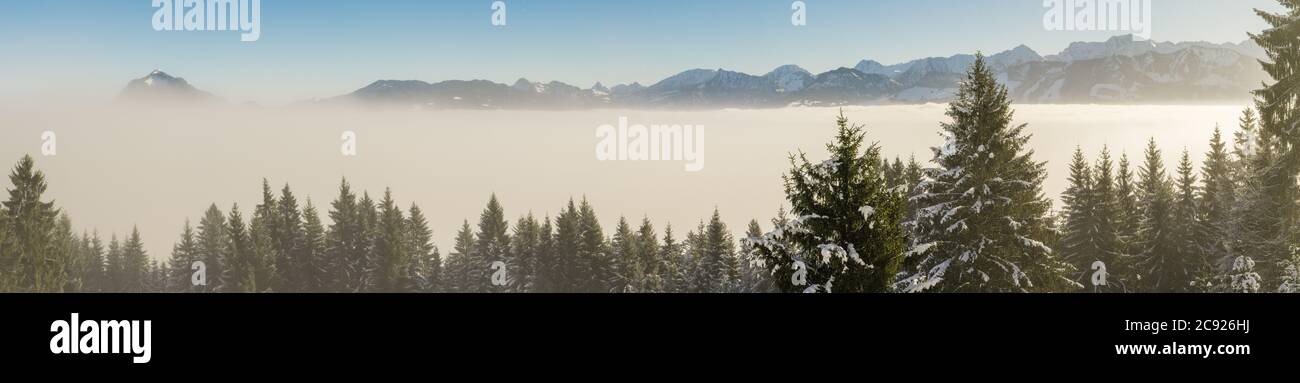 Erstaunlicher Winter Panoramablick auf verschneite Bergkette über Inversionsnebelwolken mit Waldbäumen. Blick auf den Sonnenaufgang am frühen Morgen von Oftersschwanger Stockfoto