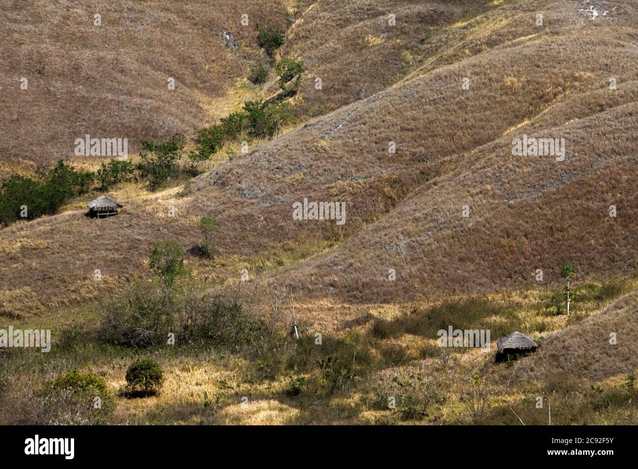 Holzhütten auf Trockenrasen in hügeliger Landschaft während der Trockenzeit auf dem Wairinding Hill in Sumba, einer Insel, die regelmäßig von Dürre heimgesucht wird. Stockfoto